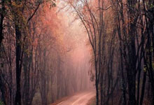 巅峰国际官网:中国“天问二号”探测器运抵发射场,备战火星任务.