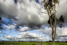 中超-王钰栋造乌龙+中超处子球+伤退,浙江队4-0武汉三镇赛季首胜.