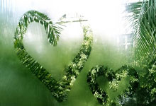 巅峰国际官网:德国足协主席:我们将在不久后与沃勒尔对话,有信心继续合作.