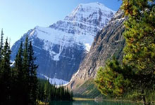 博主:郝伟行贿属于俱乐部行为,泰山队冠军应该剥夺.